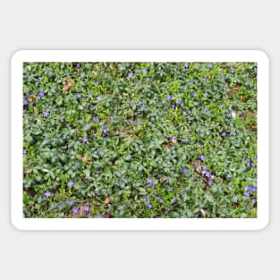 All Over Tiny Purple Flowers Sticker